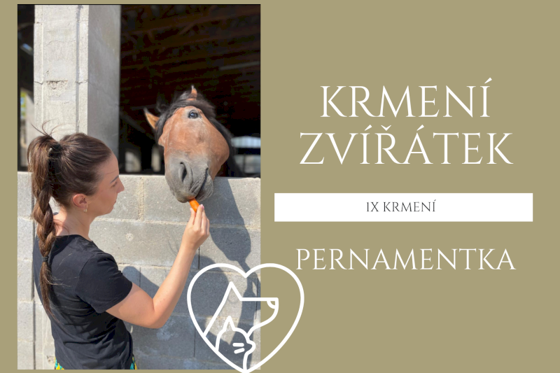 Návštěva minizoo, krmení zvířátek